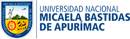 Universidad Nacional Micaela Bastidas de Apurímac Universidad Nacional Micaela Bastidas de Apurímac